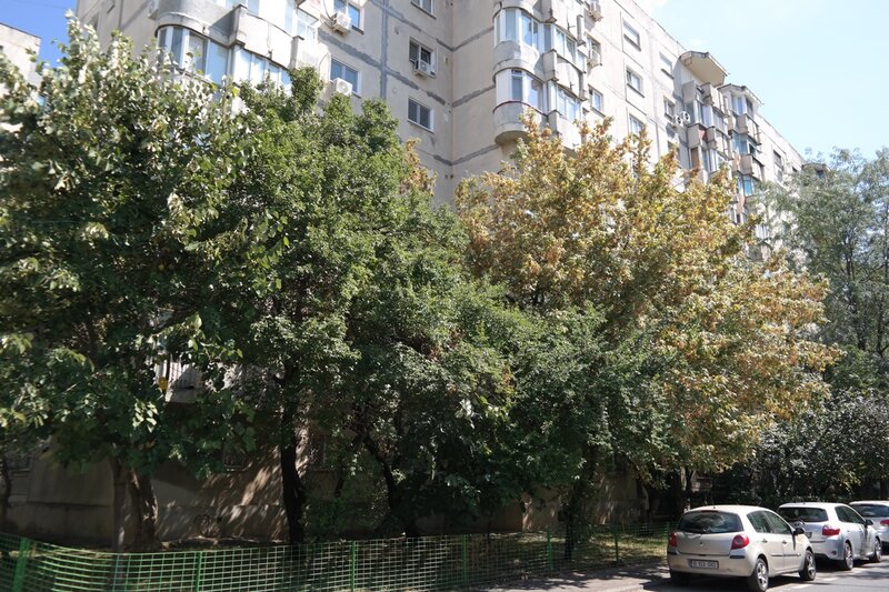 Brancoveanu- Imparatul Traian, 5min parc si metrou, semistradal!